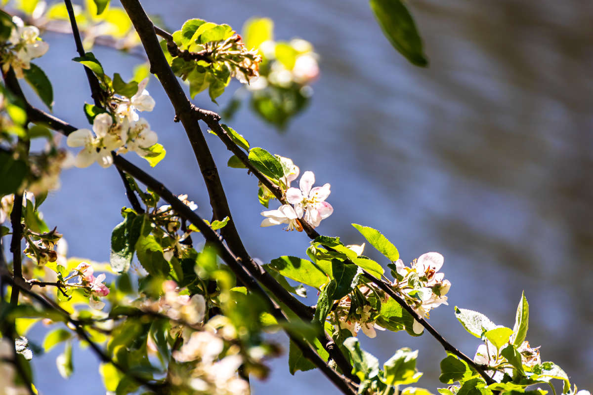 ������ ����� ���������  �� PhotoGeek.ru #������ ��� �������