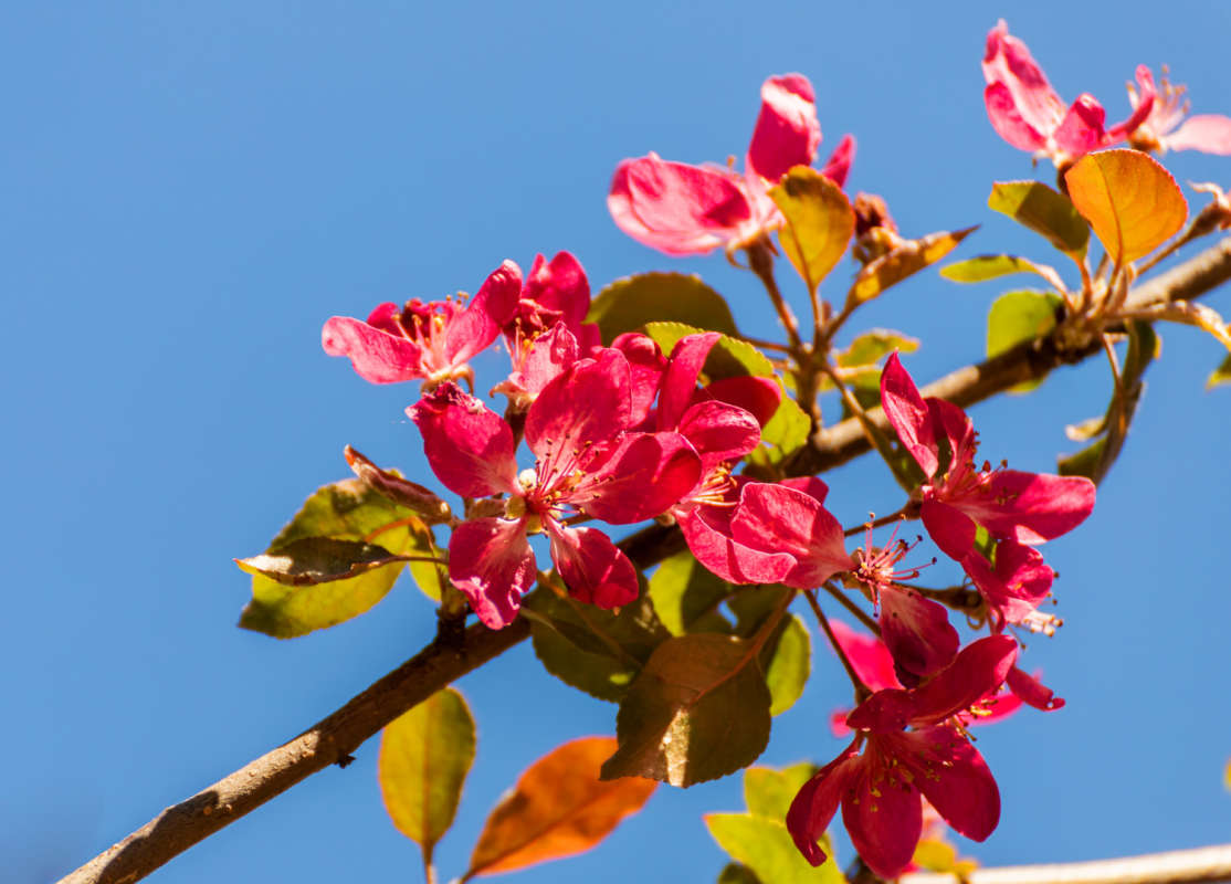 ��������� ������ ����� ���������  �� PhotoGeek.ru #������ ��� �������