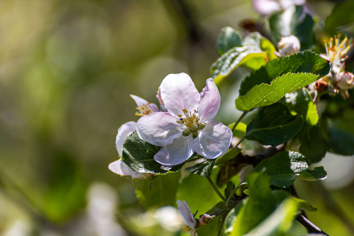 ���� ������ ����� ���������  �� PhotoGeek.ru #������ ��� �������