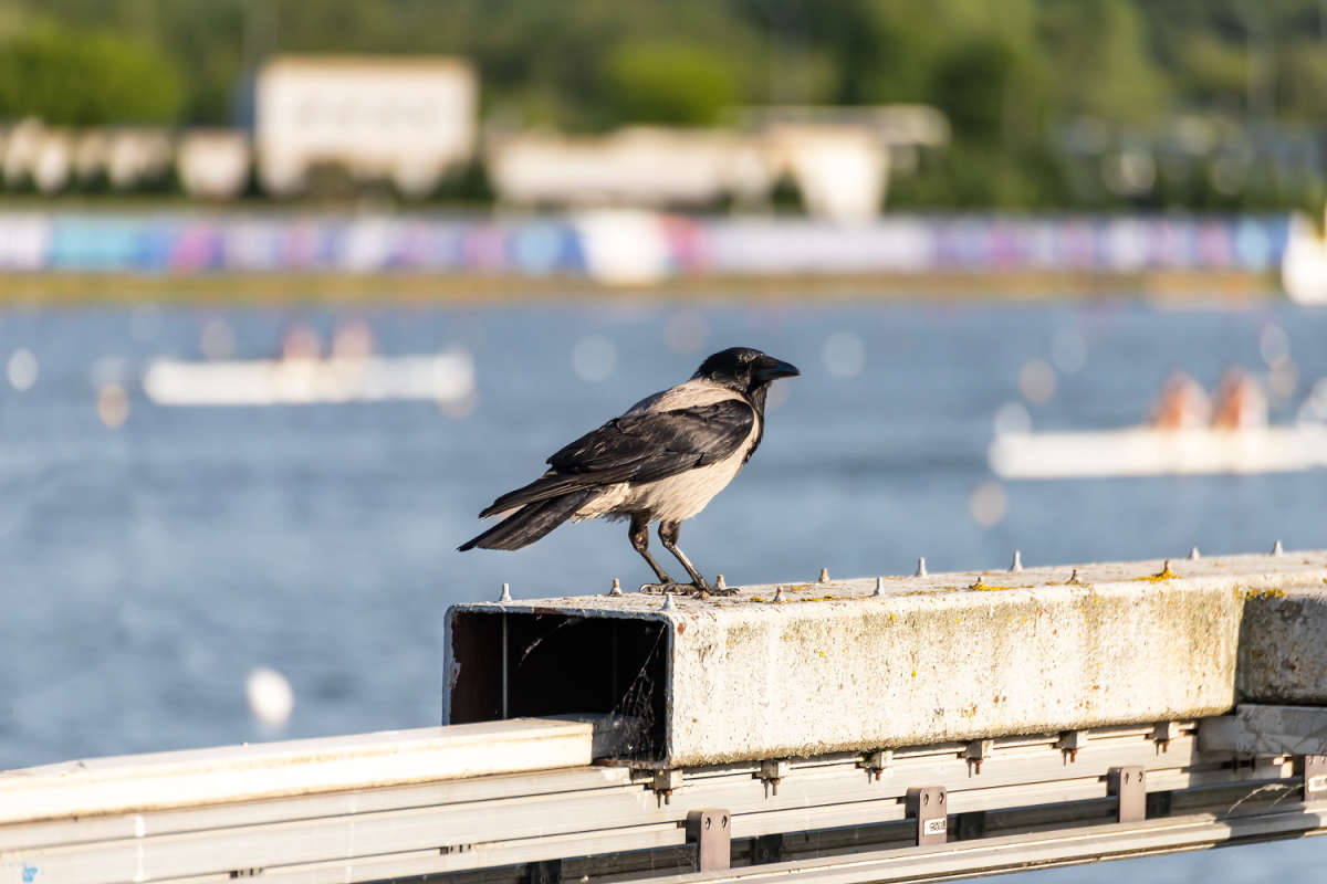 ��������� ����� ���������  �� PhotoGeek.ru #����� #�������� ����������