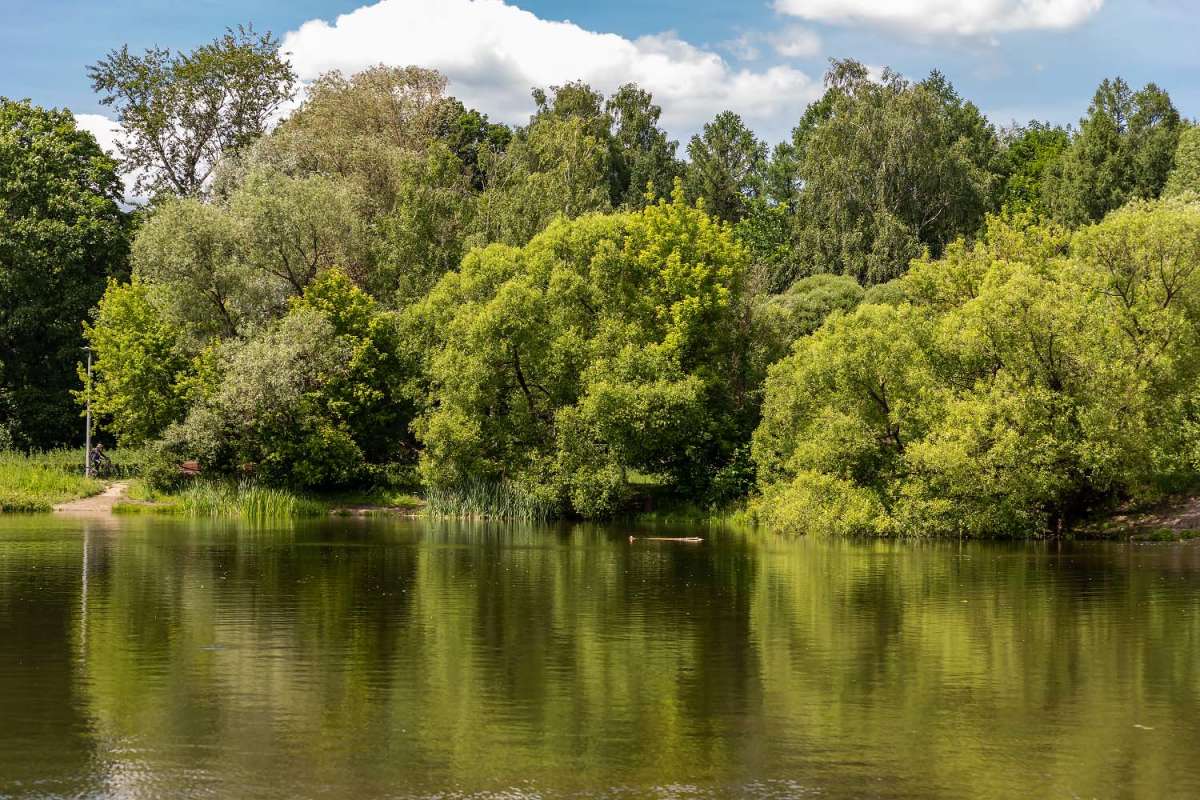 ������������ ���� ����� ���������  �� PhotoGeek.ru #������ ��� �������