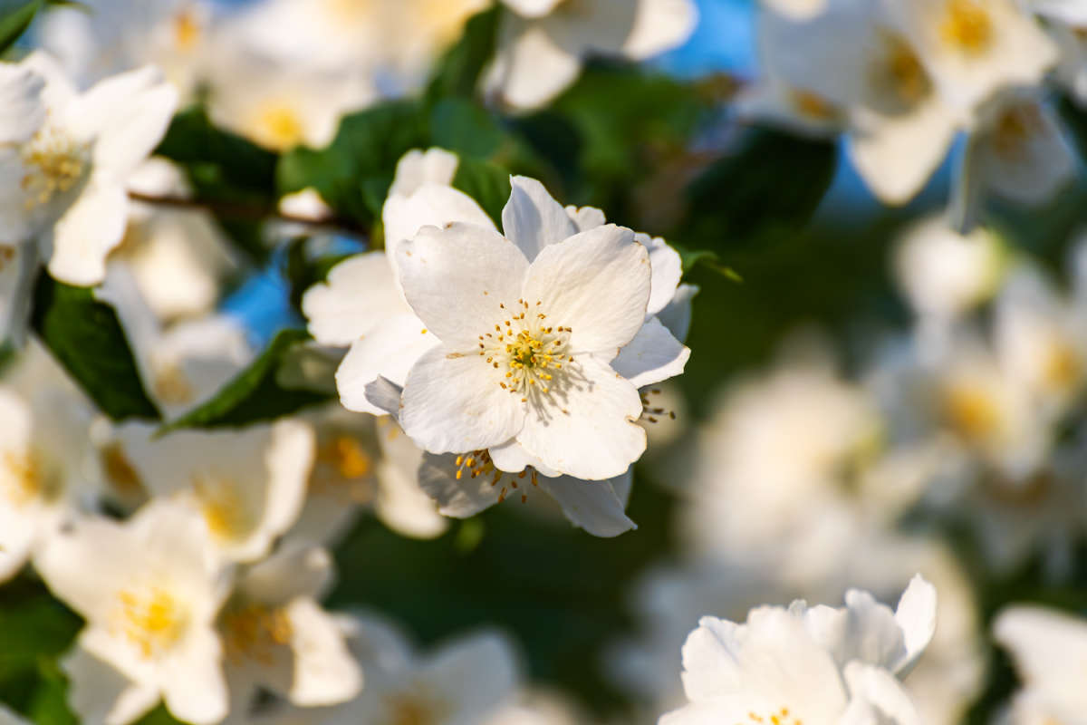 �������� ����� ���������  �� PhotoGeek.ru #������ ��� �������
