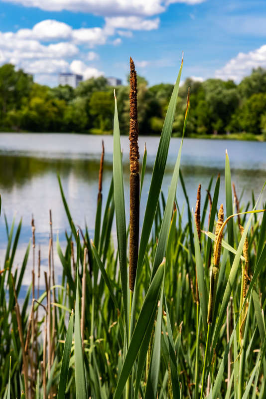 ����� ����� ���������  �� PhotoGeek.ru #������ ��� �������