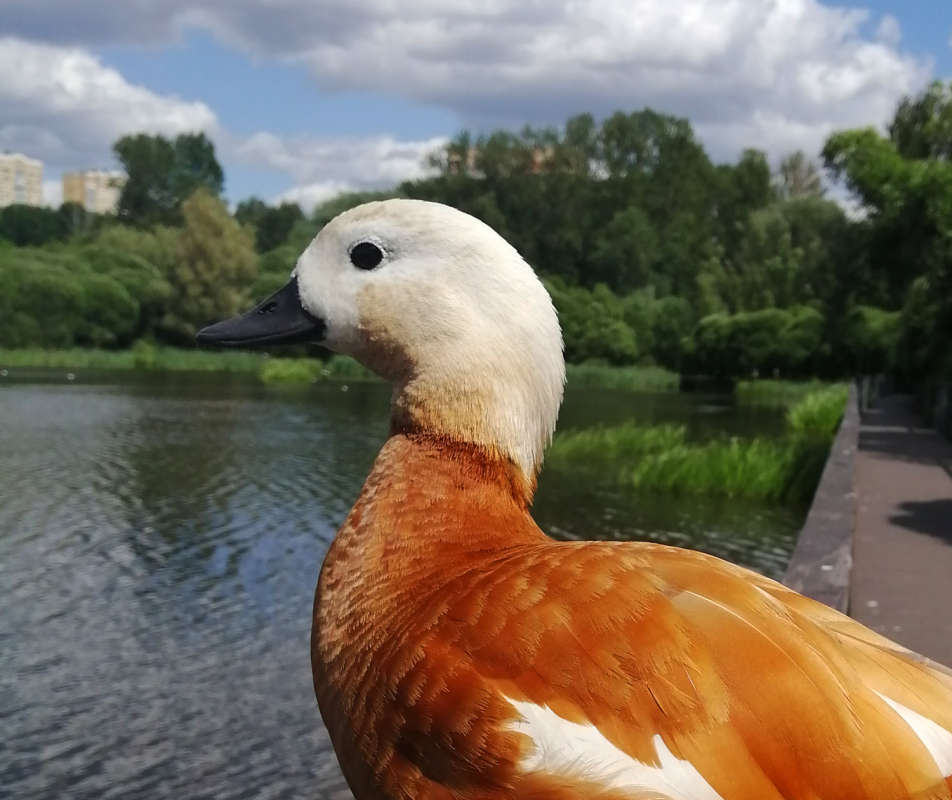 �� ����� ����� ���������  �� PhotoGeek.ru #�������� ��� #������ ��� �������