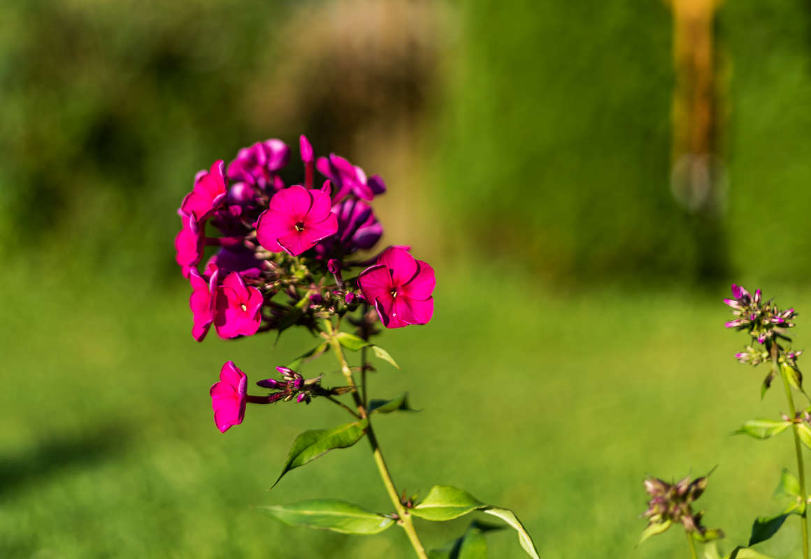 ������ ����� ���������  �� PhotoGeek.ru #������ ��� ������� #����� ��������������