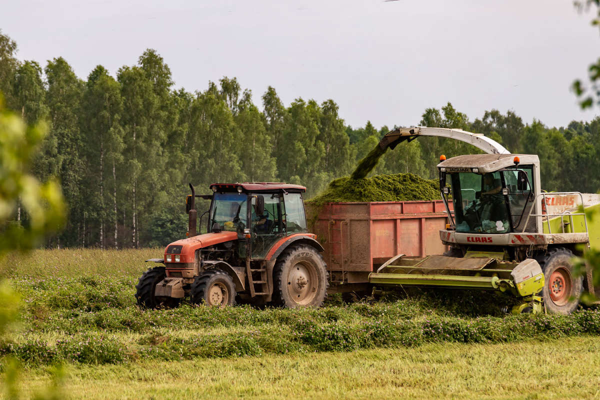 ������ ����� ����� ���������  �� PhotoGeek.ru #��������� #�������� ����������