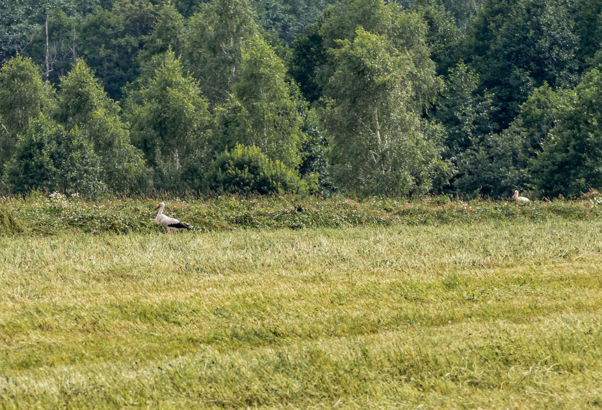 ����� ����� ���������  �� PhotoGeek.ru #�������� ��� #�������� ����������