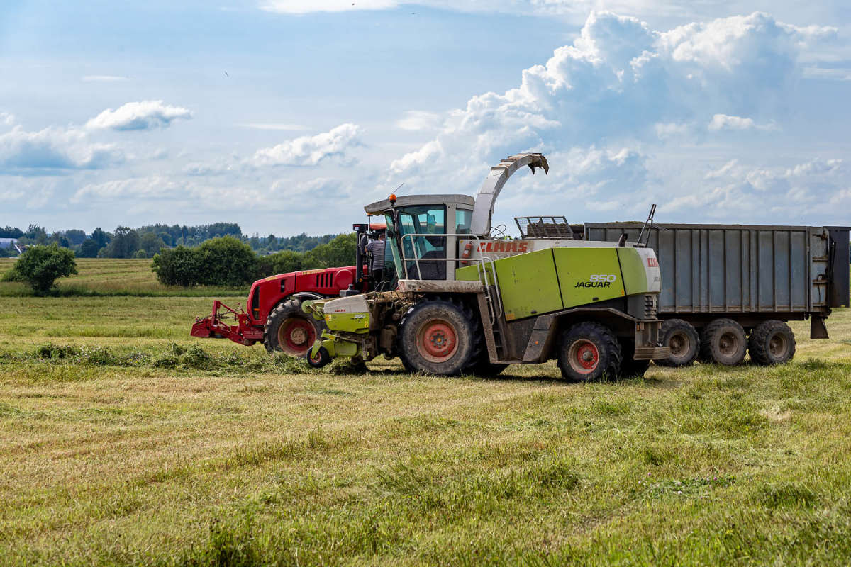 ������� ������� ����� ���������  �� PhotoGeek.ru #��������� #�������� ����������