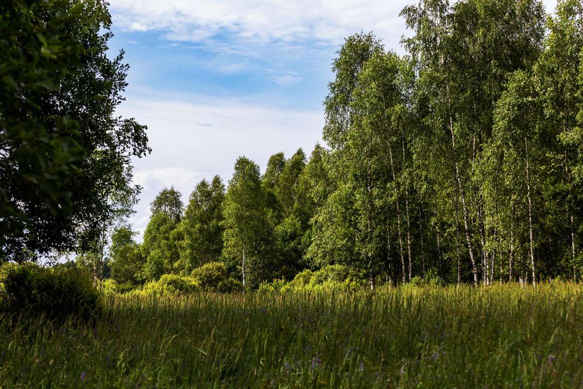 �� ���� ���� ����� ���������  �� PhotoGeek.ru #������ ��� �������