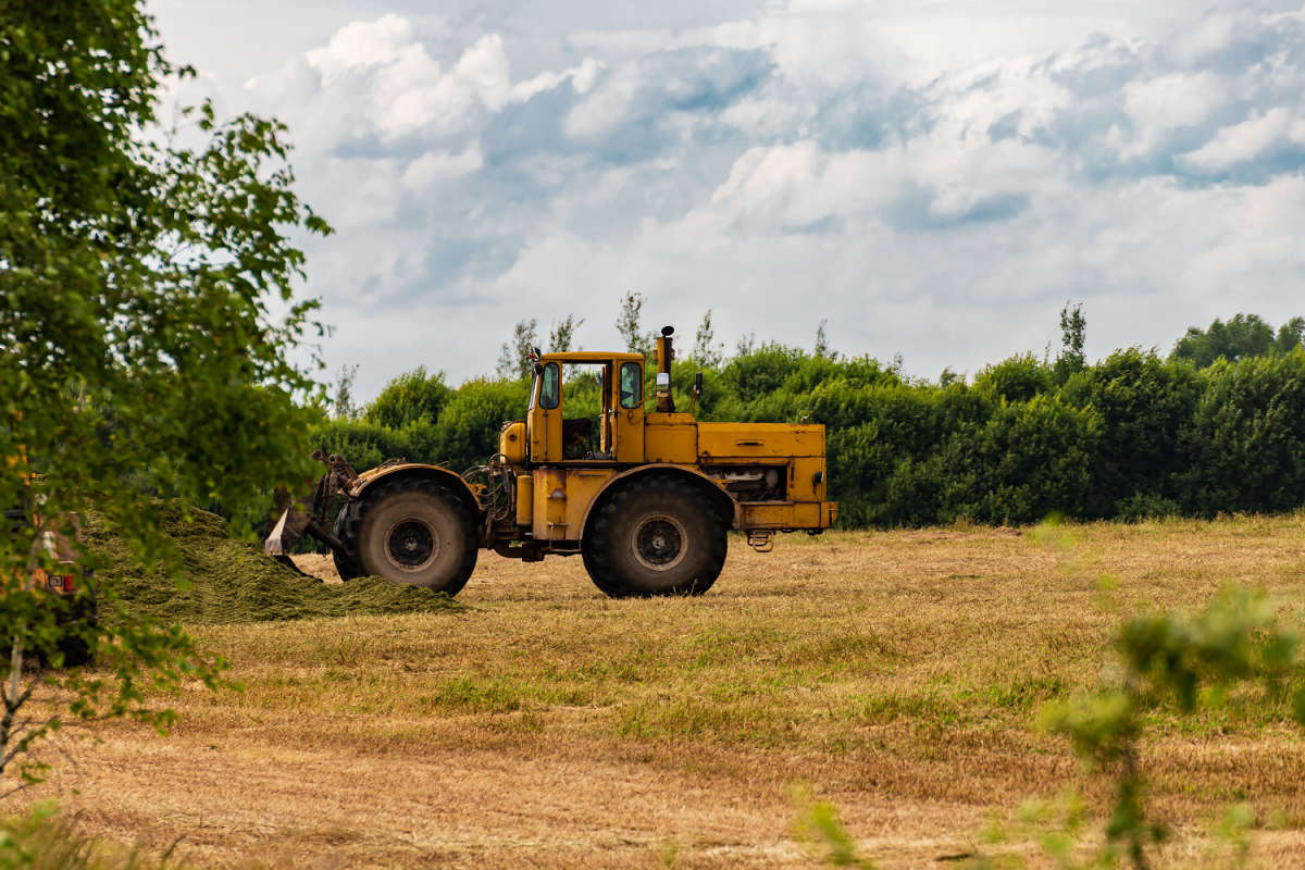 �������� ������� ����� ���������  �� PhotoGeek.ru #��������� #������ ��� ������� #�������� ����������