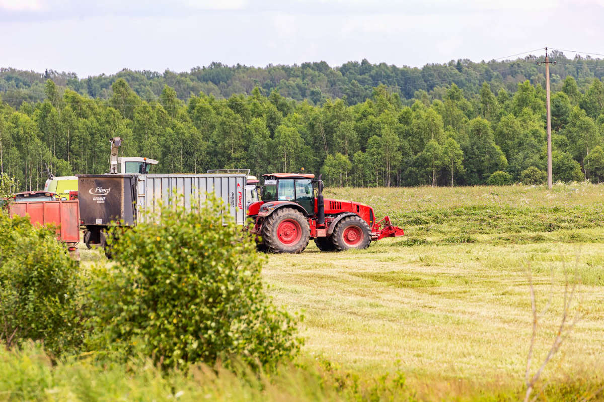 � ���� ����� ���������  �� PhotoGeek.ru #��������� #�������� ����������