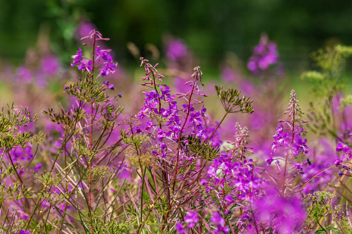 ���� ����� ���������  �� PhotoGeek.ru #������ ��� �������