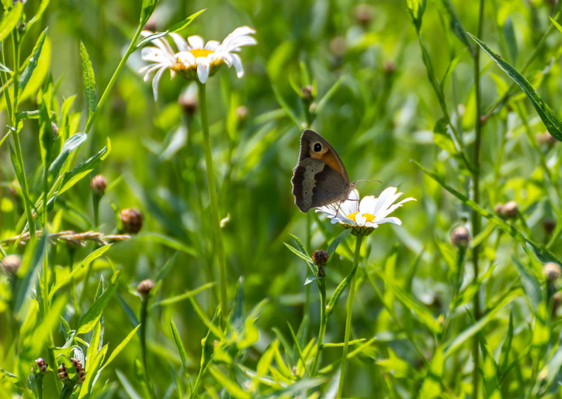 � ����� ����� ���������  �� PhotoGeek.ru #������ ��� �������