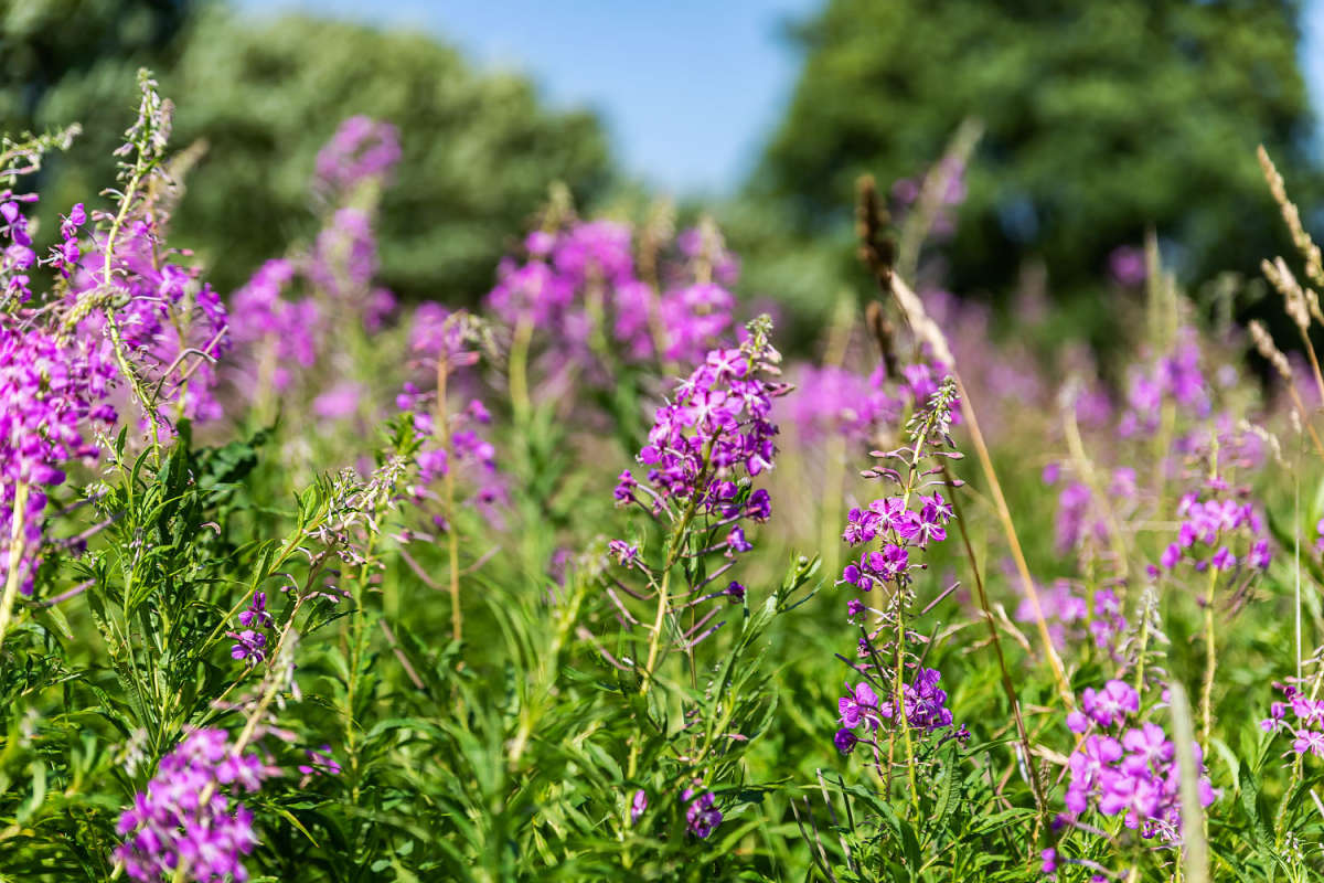 ����� ����� ���������  �� PhotoGeek.ru #������ ��� �������