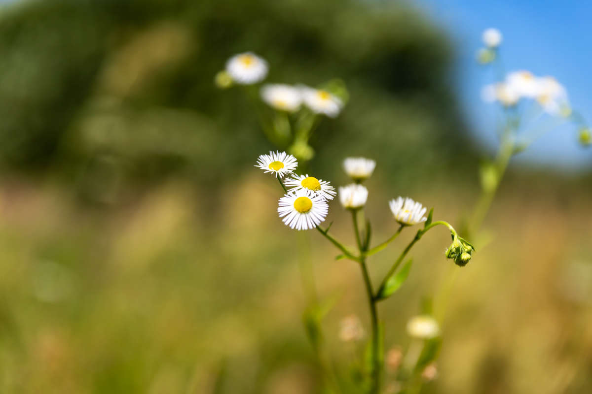 ������� ����� ���������  �� PhotoGeek.ru #������ ��� �������