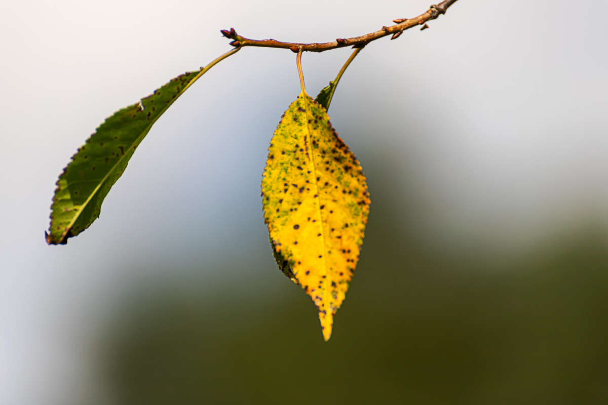 ��� ���� ����� ���������  �� PhotoGeek.ru #������ ��� �������