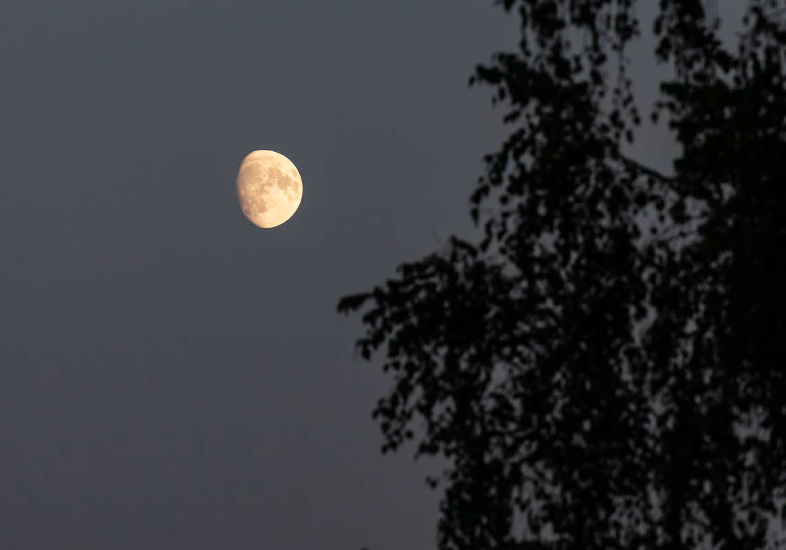 ������� ����� ����� ���������  �� PhotoGeek.ru #������ ��� �������