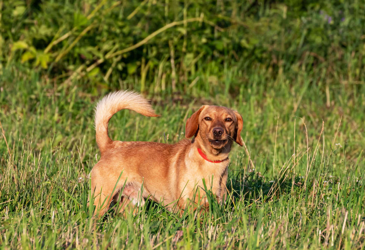 ������� ����� ���������  �� PhotoGeek.ru #�������� ���