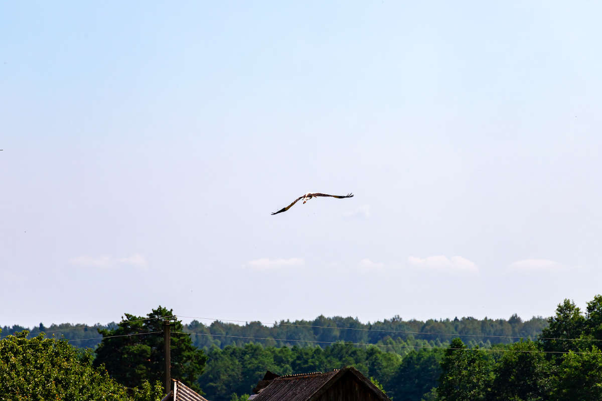 ���� ����� ���������  �� PhotoGeek.ru #������ ��� ������� #�������� ����������