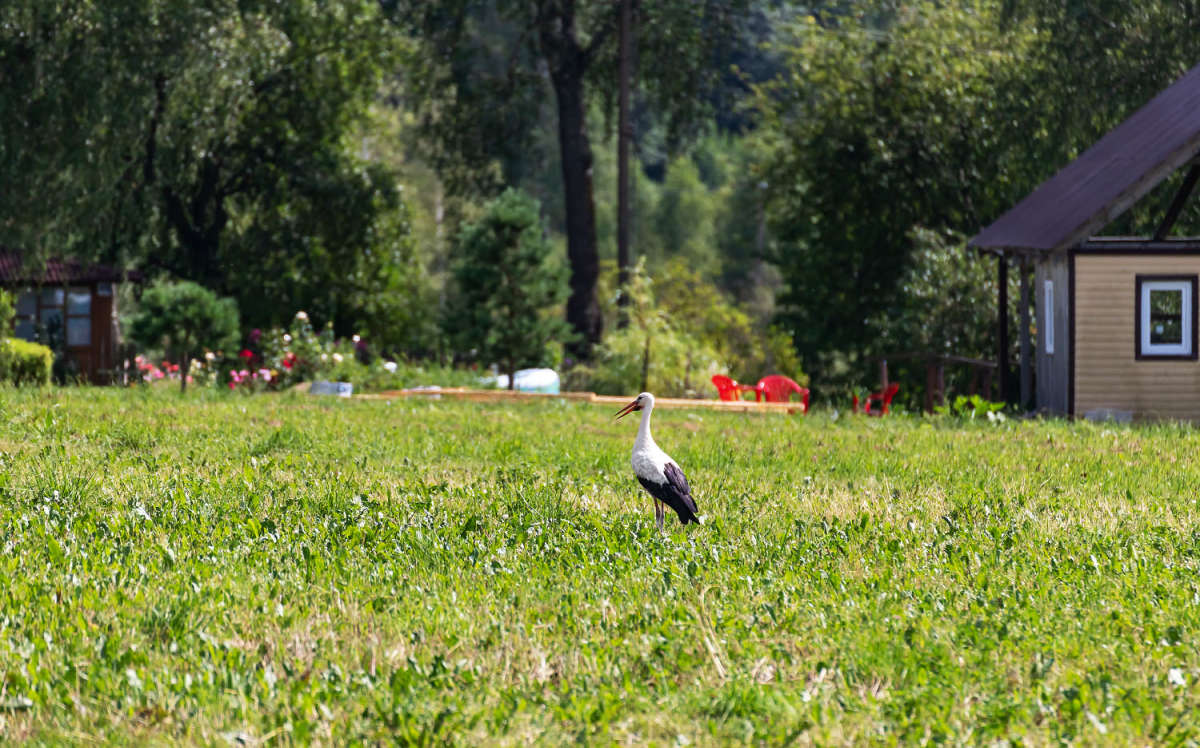 � ����� ������ ����� ���������  �� PhotoGeek.ru #�������� ����������