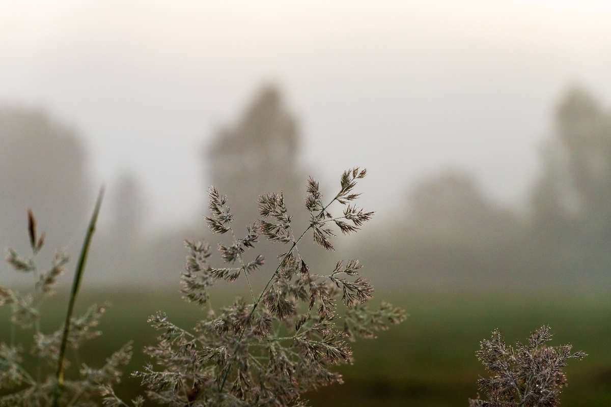����� ����� ���������  �� PhotoGeek.ru #������ ��� �������