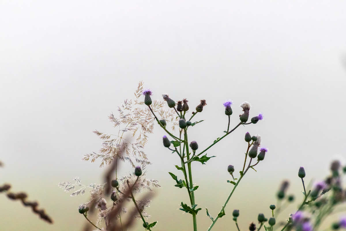 �� ���� ������ ����� ���������  �� PhotoGeek.ru #������ ��� �������
