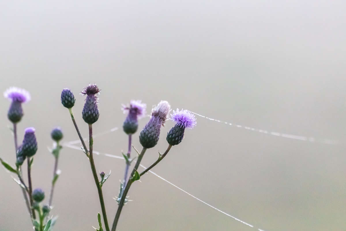 � ���������� ����� ���������  �� PhotoGeek.ru #������ ��� �������