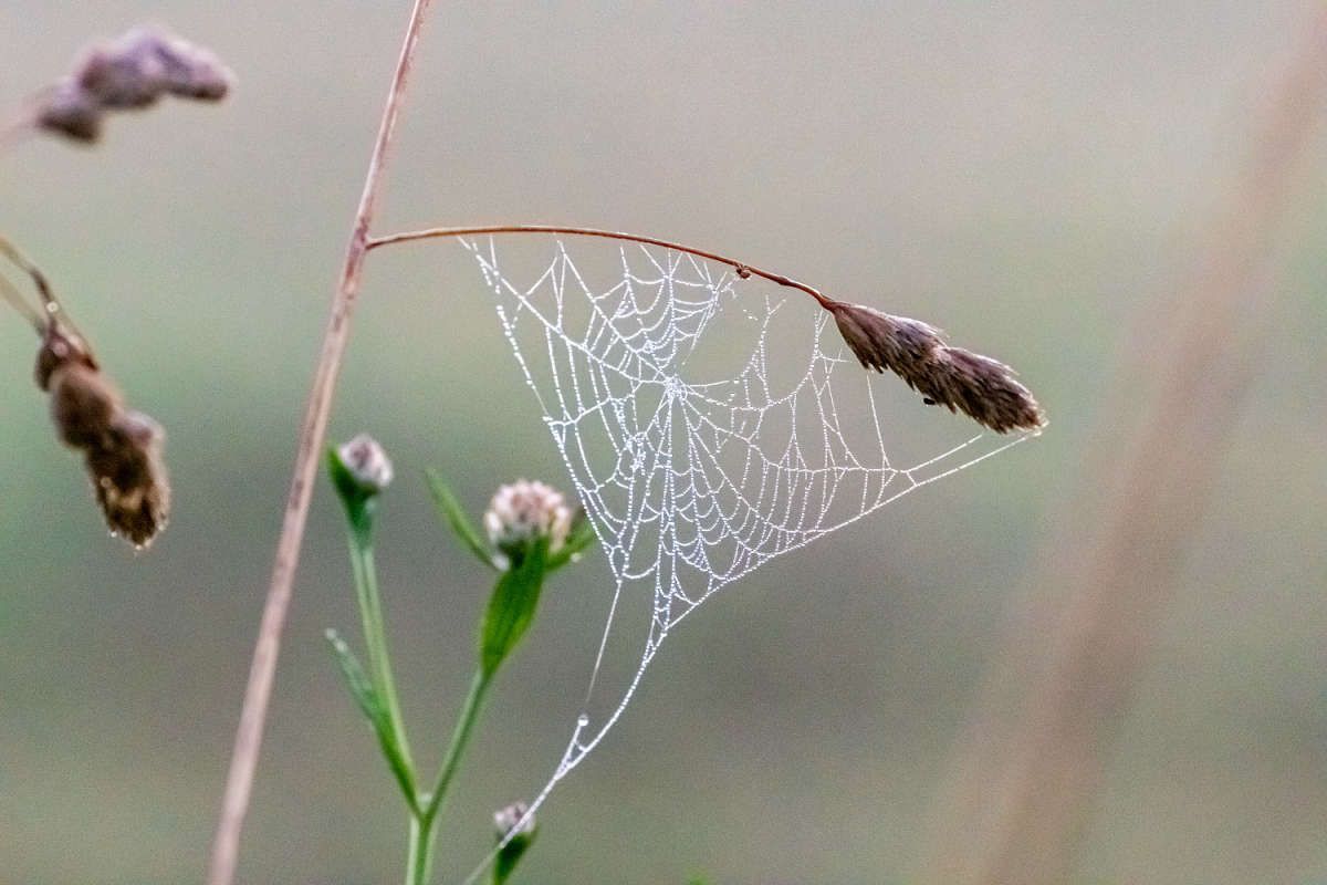 �������� ����� ���������  �� PhotoGeek.ru #������ ��� �������