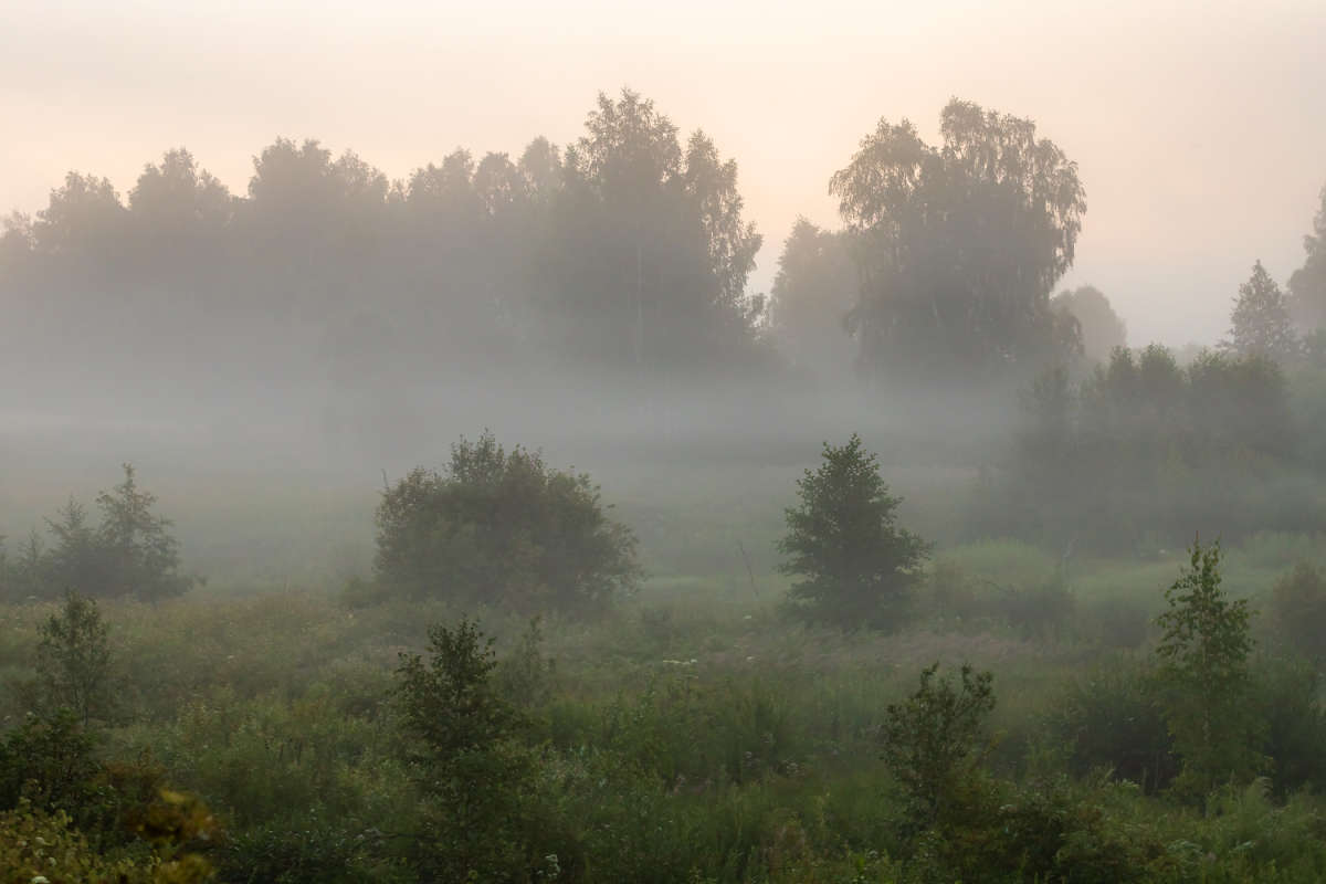 ������� ����� ���������  �� PhotoGeek.ru #������ ��� �������