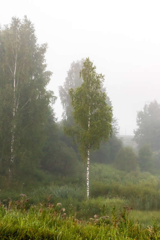 ������ ����� ���������  �� PhotoGeek.ru #������ ��� ������� #�������� ����������