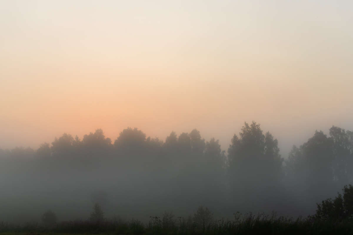 ������� ����� ���������  �� PhotoGeek.ru #������ ��� �������