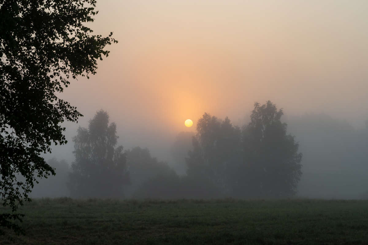������ ����� ���������  �� PhotoGeek.ru #������ ��� �������
