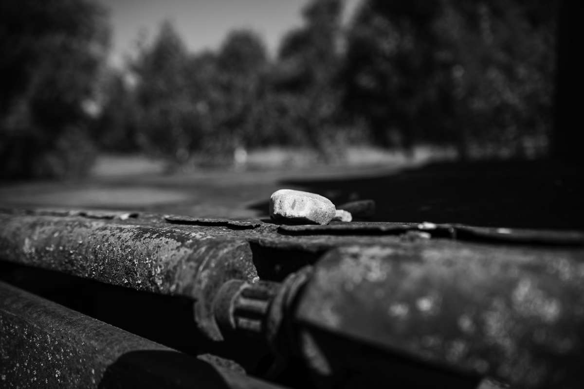 ������� ����� ���������  �� PhotoGeek.ru #�������� ����������