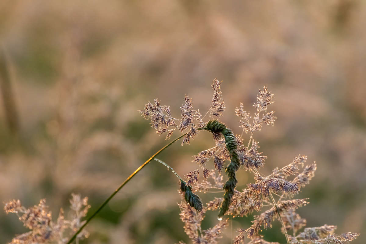 ��������.����. ����� ���������  �� PhotoGeek.ru #������ ��� �������