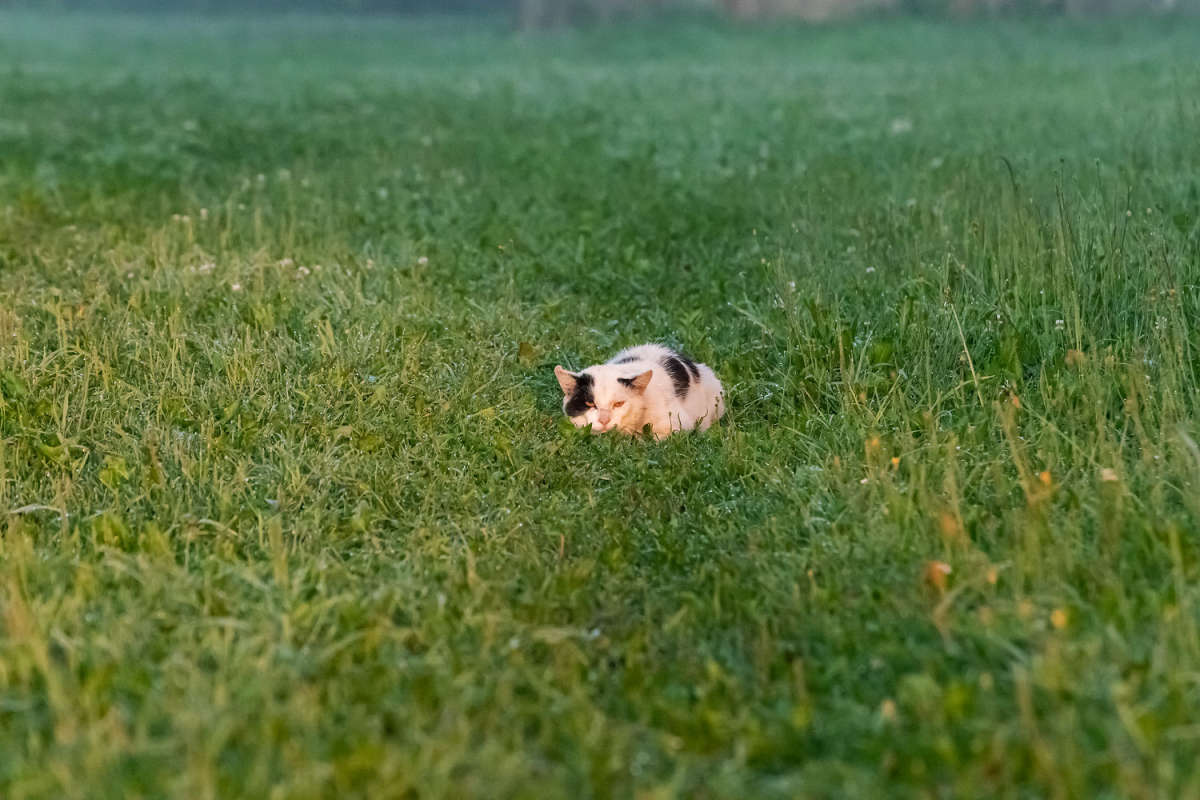 ����� � ���� ����� ���������  �� PhotoGeek.ru #�������� ��� #������ ��� ������� #�������� ����������