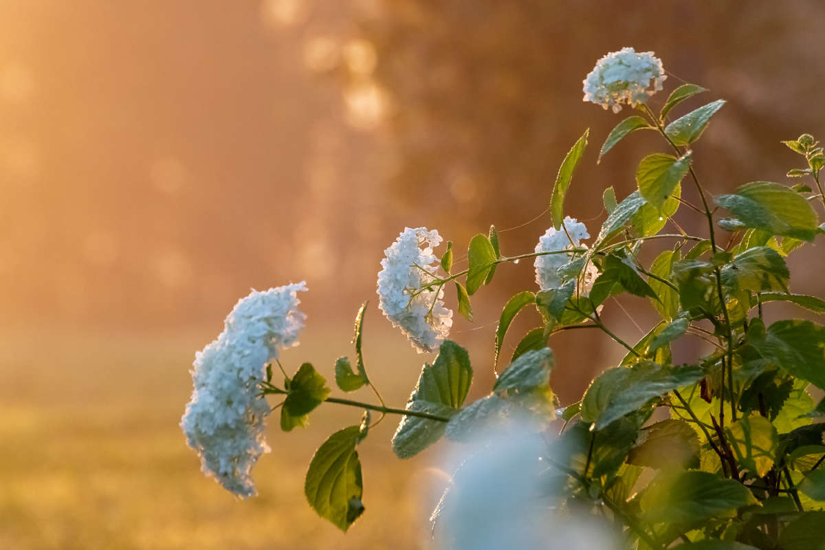 � ����� ������� ����� ���������  �� PhotoGeek.ru #������ ��� ������� #�������� ����������