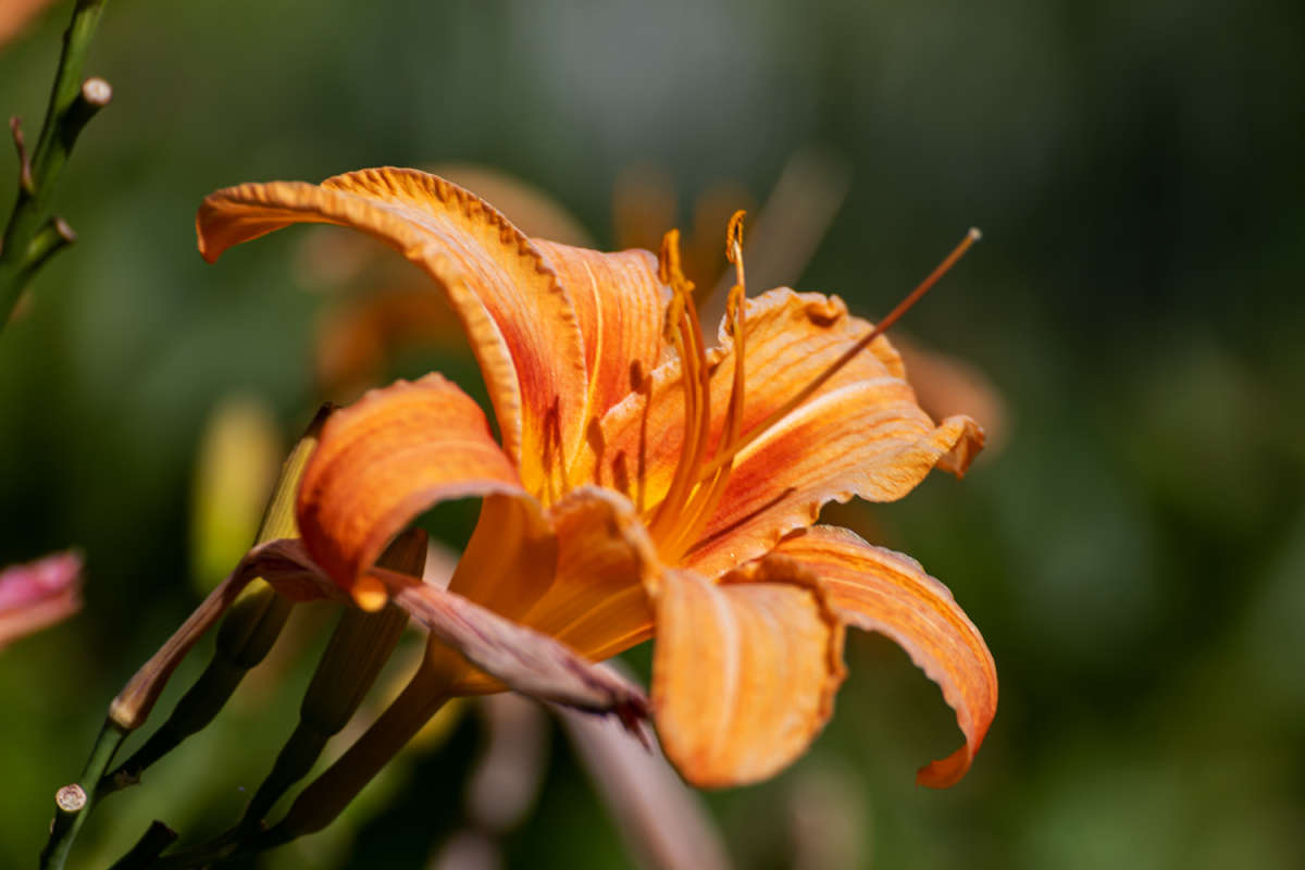 ������� ���� ����� ���������  �� PhotoGeek.ru #������ ��� �������