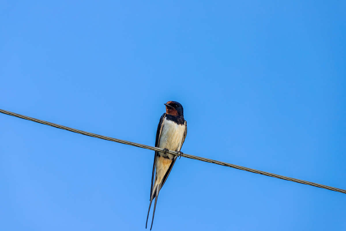 ������ �� ������� ����� ���������  �� PhotoGeek.ru #�������� ���