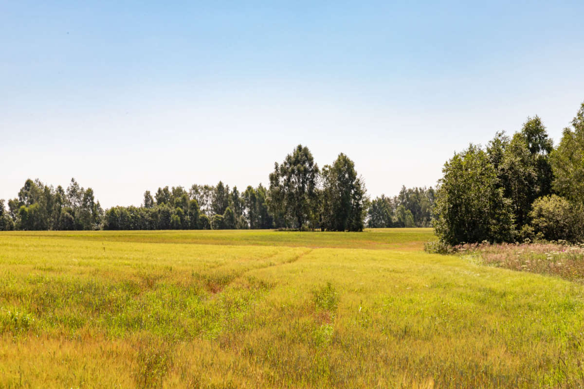 �������� ����� ���������  �� PhotoGeek.ru #������ ��� �������