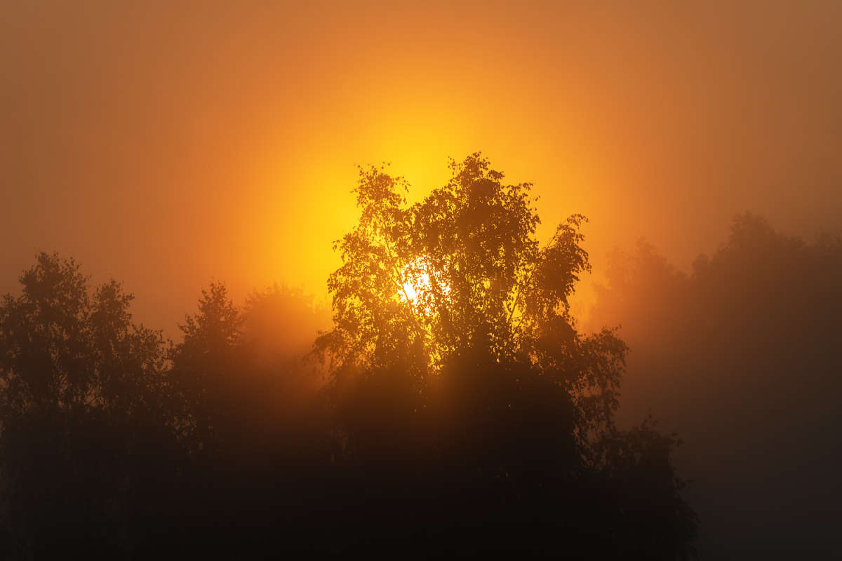 �� �������� ����� ���������  �� PhotoGeek.ru #������ ��� �������