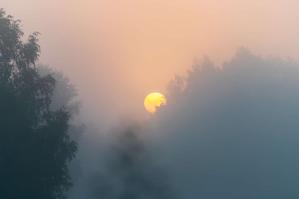 �������� ������ ����� ���������  �� PhotoGeek.ru #������ ��� �������