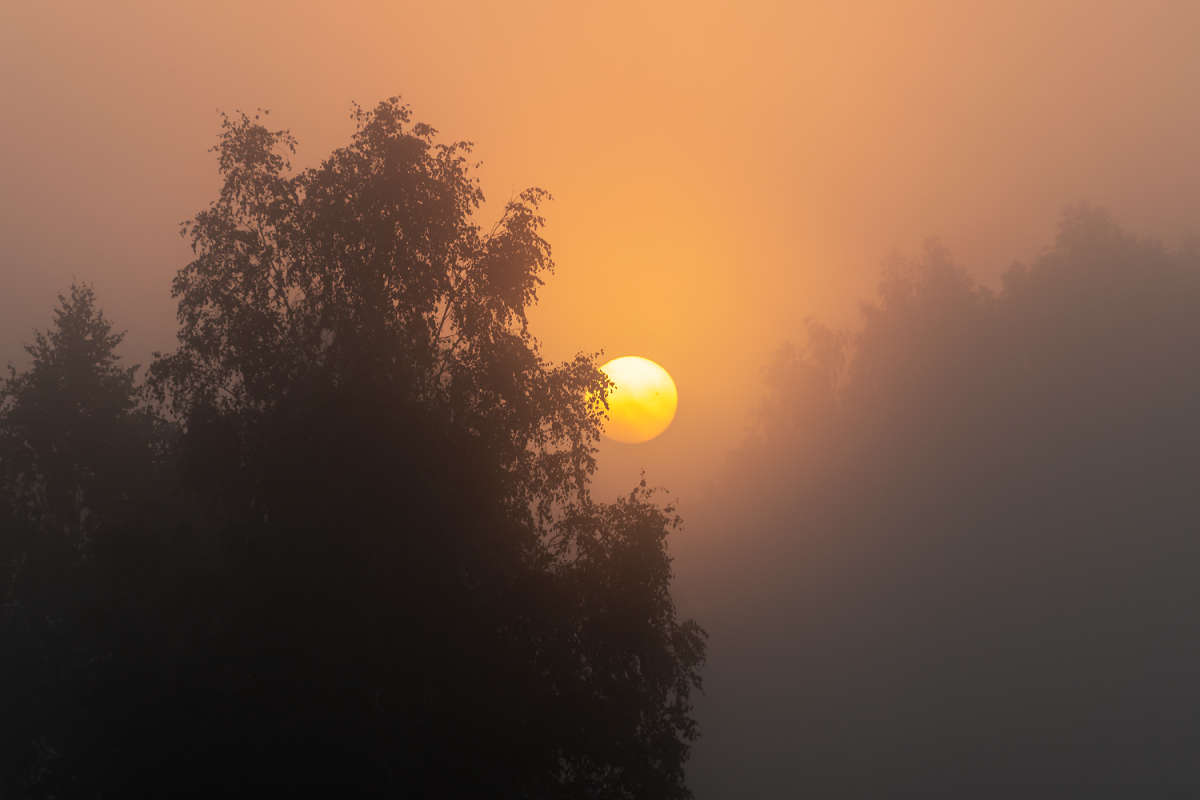 ���� ����� ���������  �� PhotoGeek.ru #������ ��� �������