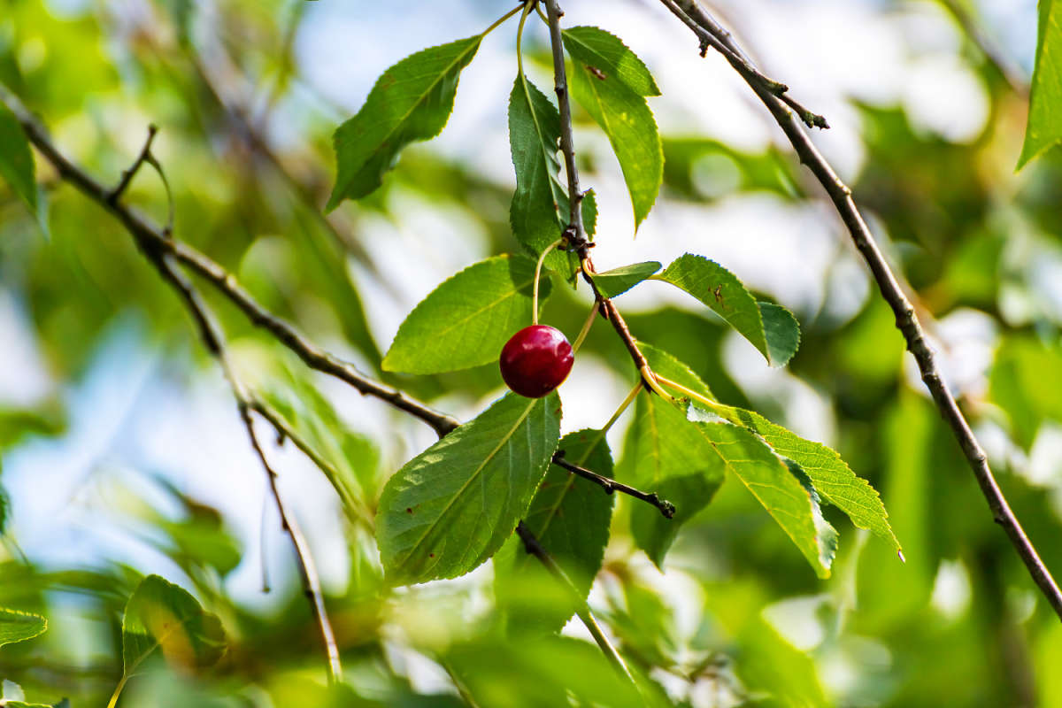 ������� ����� ���������  �� PhotoGeek.ru #������ ��� �������