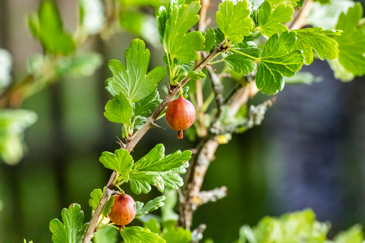 ������ ����� ���������  �� PhotoGeek.ru #������ ��� �������
