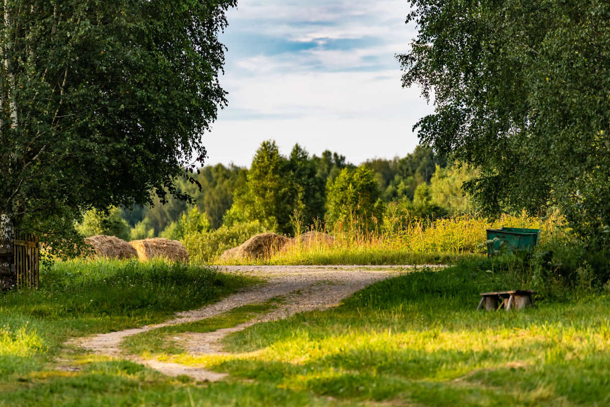 � ������� ����� ���������  �� PhotoGeek.ru #������ ��� ������� #�������� ����������