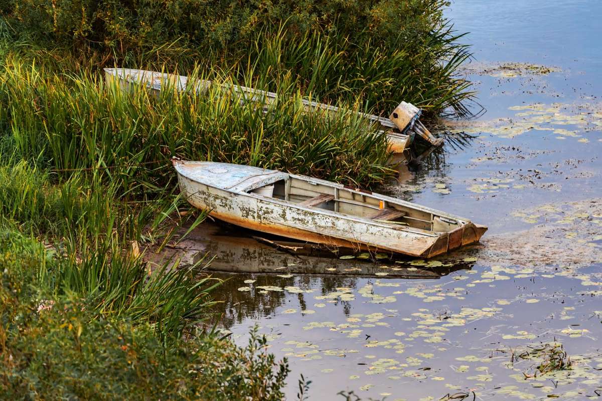 ������� ����� ���������  �� PhotoGeek.ru #�������� ����������