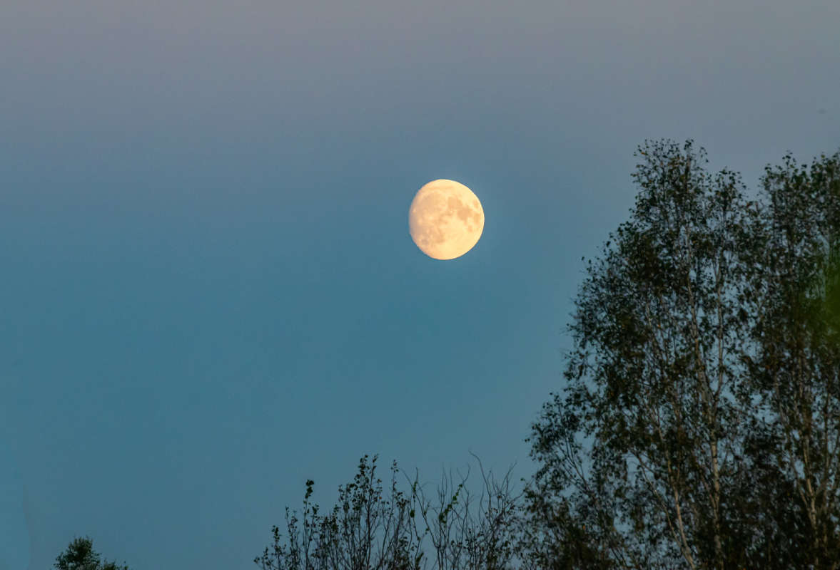 ��� ����  � �������� ����� ���������  �� PhotoGeek.ru #������ ��� �������