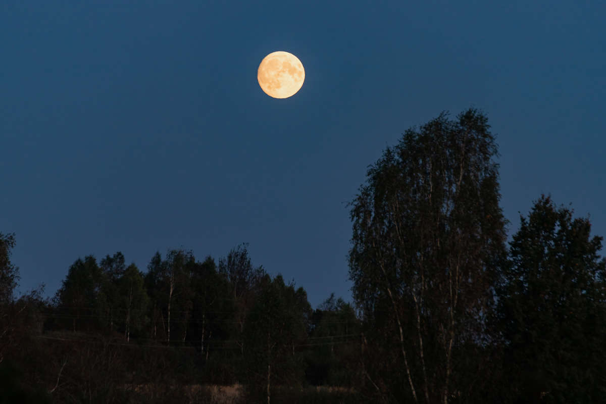 ��� ����  � �������� ����� ���������  �� PhotoGeek.ru #������ ��� �������