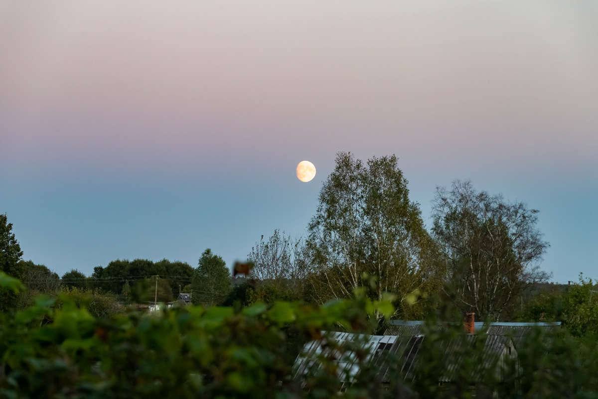 ��� ����  � �������� ����� ���������  �� PhotoGeek.ru #������ ��� �������