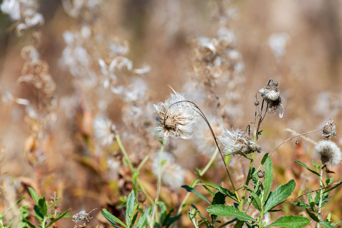 � �������� ����� ���������  �� PhotoGeek.ru #������ ��� �������